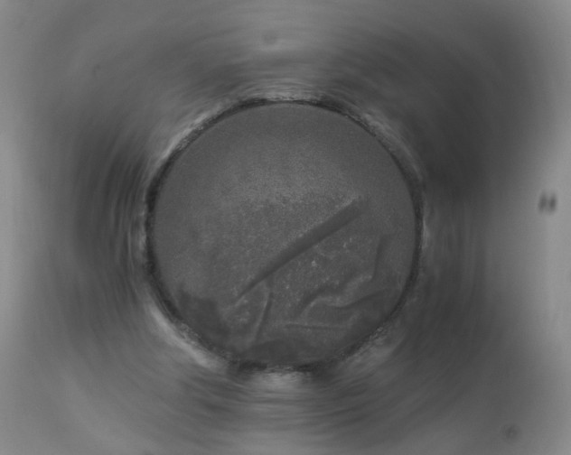 X0000112880202200908211500