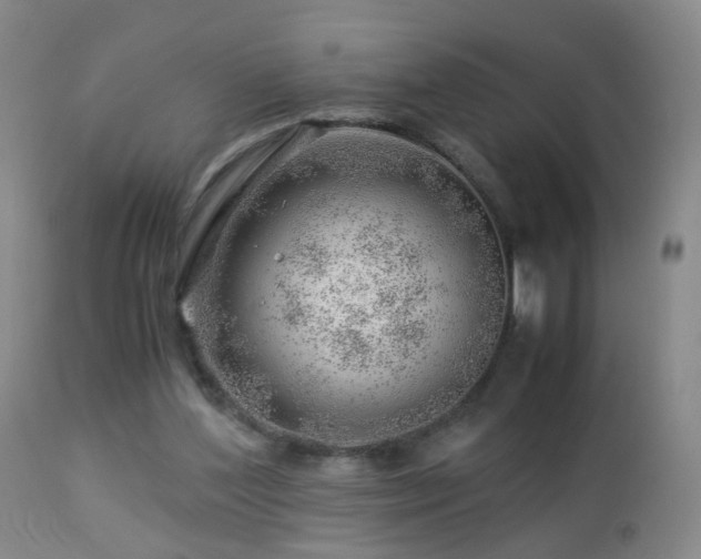 X0000112880204200908211500