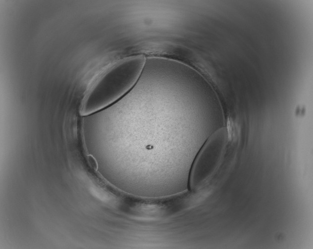 X0000112880205200908211500