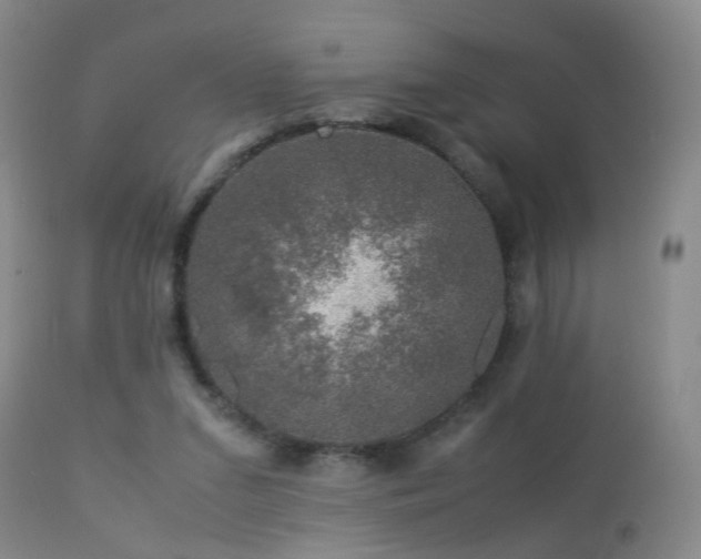 X0000112880207200908211500