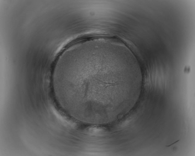 X0000112880208200908211500