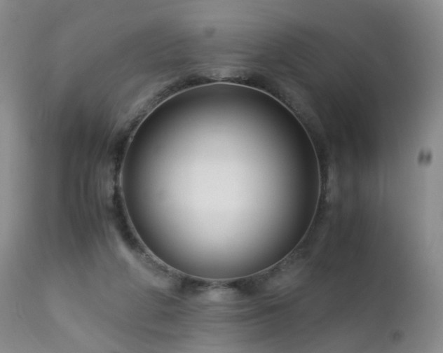 X0000112880210200908211459