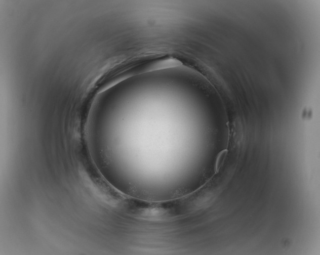 X0000112880212200908211459