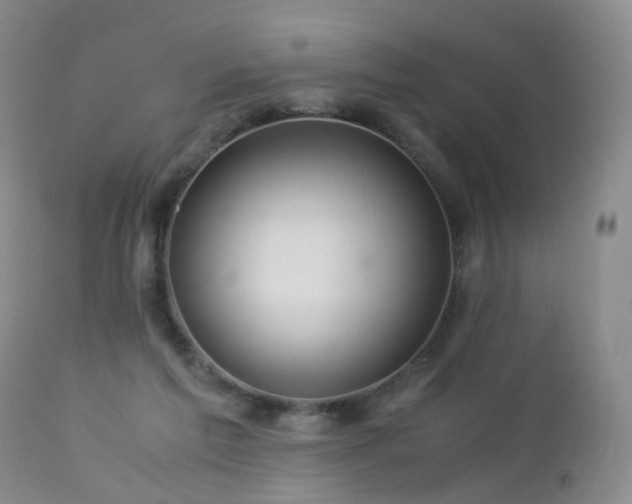 X0000112880213200908211459