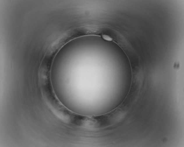 X0000112880215200908211459