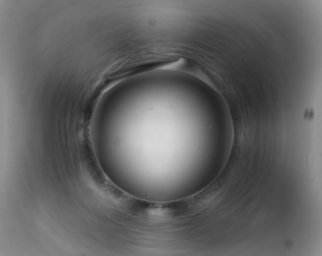 X0000112880216200908211459