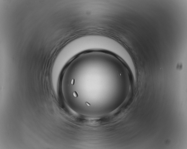 X0000112880217200908211459