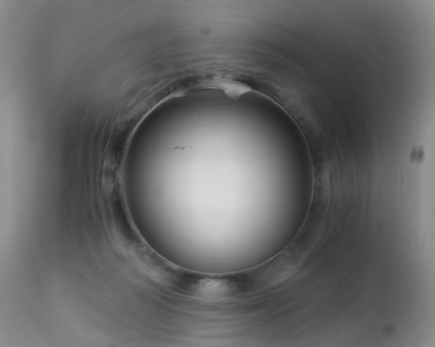 X0000112880218200908211459