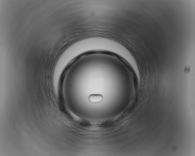 X0000112880219200908211459