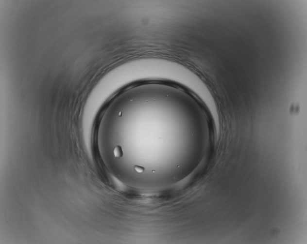 X0000112880221200908211459