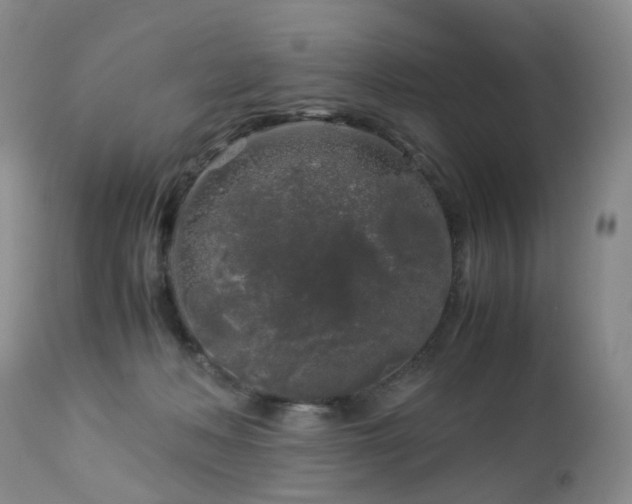 X0000112880222200908211459