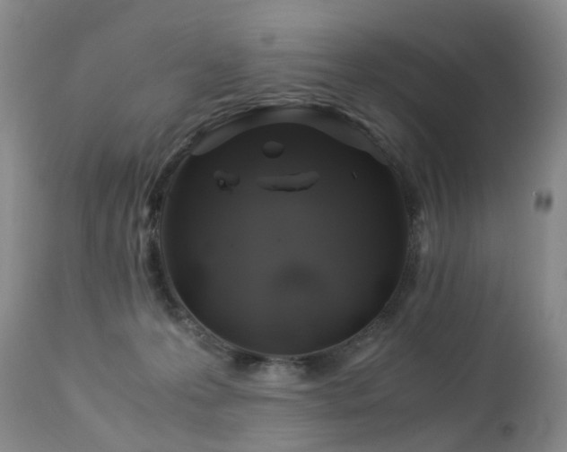 X0000112880223200908211459