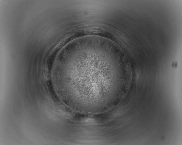 X0000112880224200908211459