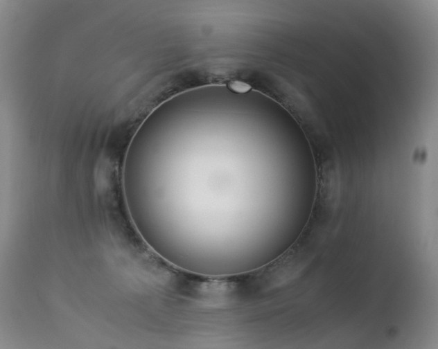 X0000112880225200908211459