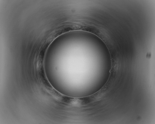 X0000112880226200908211459