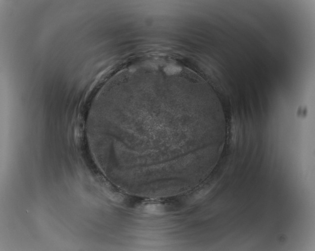 X0000112880228200908211459