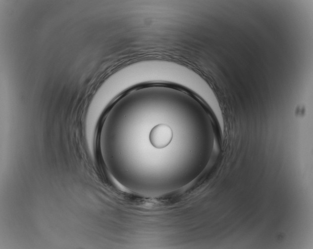 X0000112880229200908211459