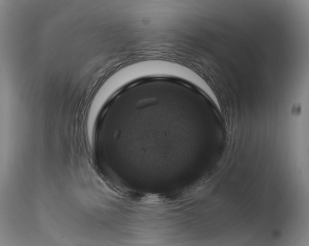 X0000112880231200908211459