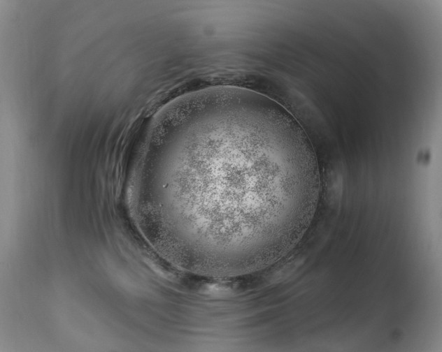 X0000112880232200908211459