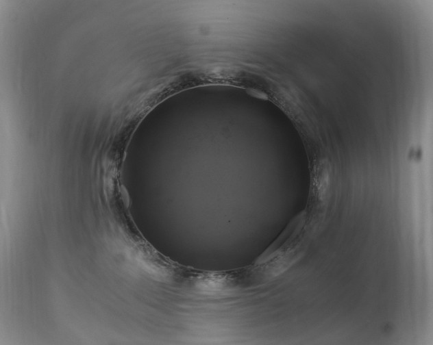 X0000112880235200908211459