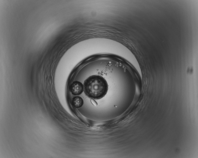 X0000112880237200908211459