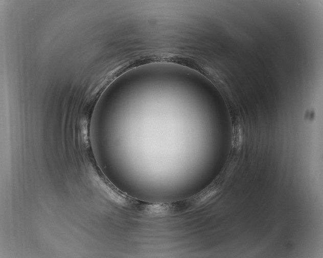 X0000112880238200908211459