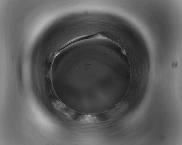 X0000112880239200908211459