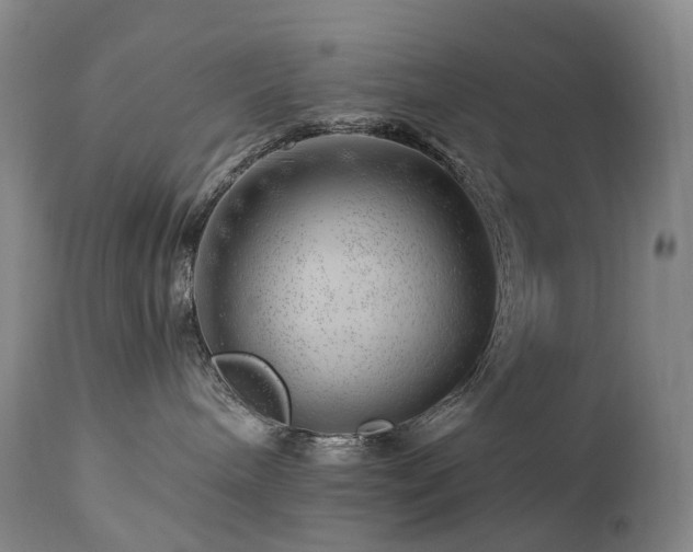 X0000112880240200908211459