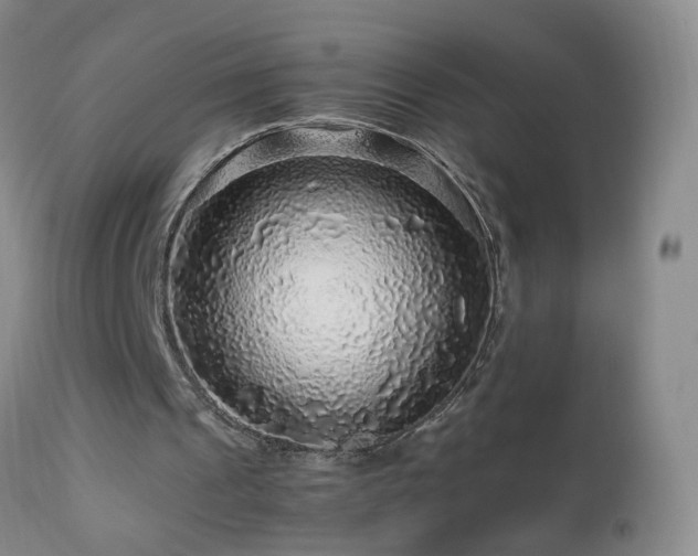 X0000112880241200908211458