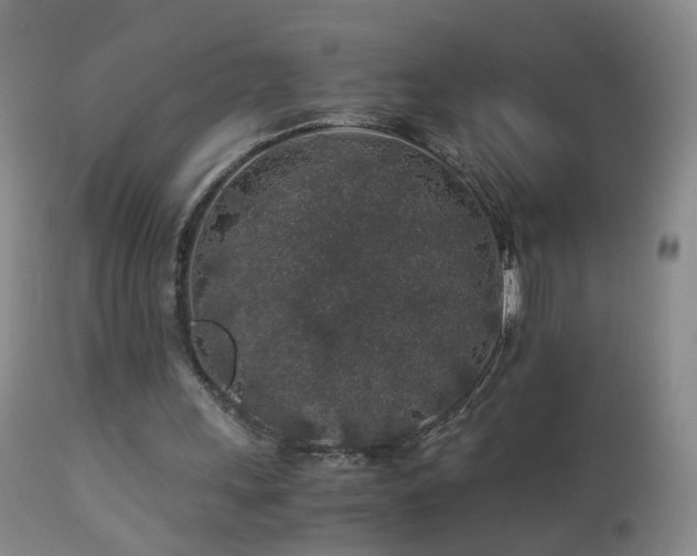 X0000112880243200908211458