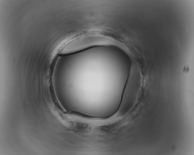 X0000112880244200908211458