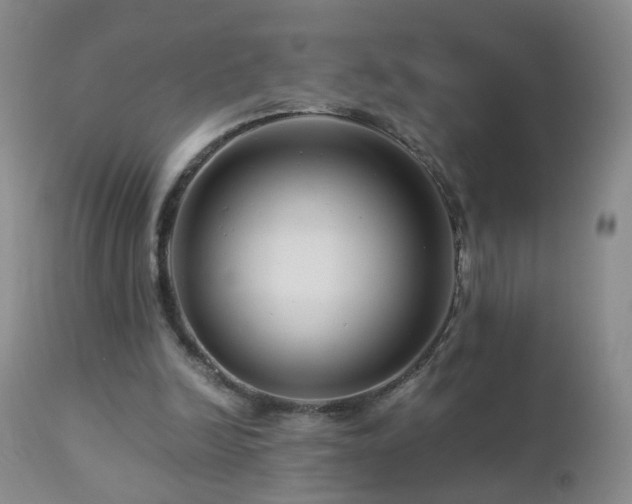 X0000112880246200908211458