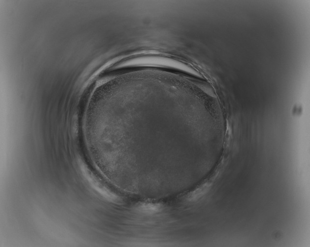 X0000112880247200908211458