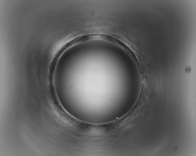 X0000112880248200908211458