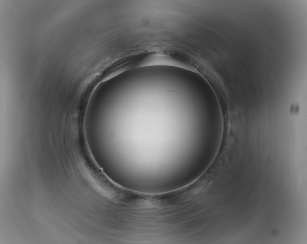 X0000112880250200908211458