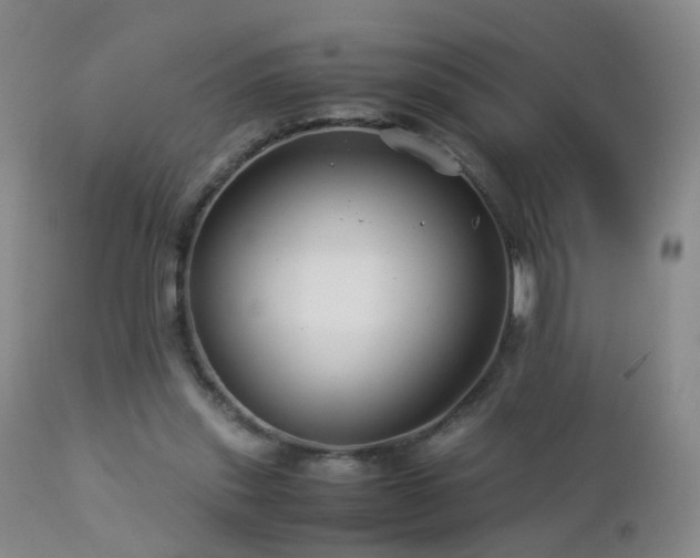 X0000112880253200908211458