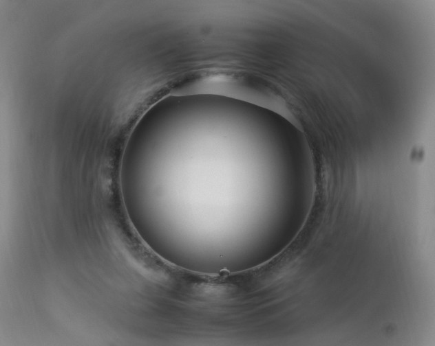 X0000112880255200908211458