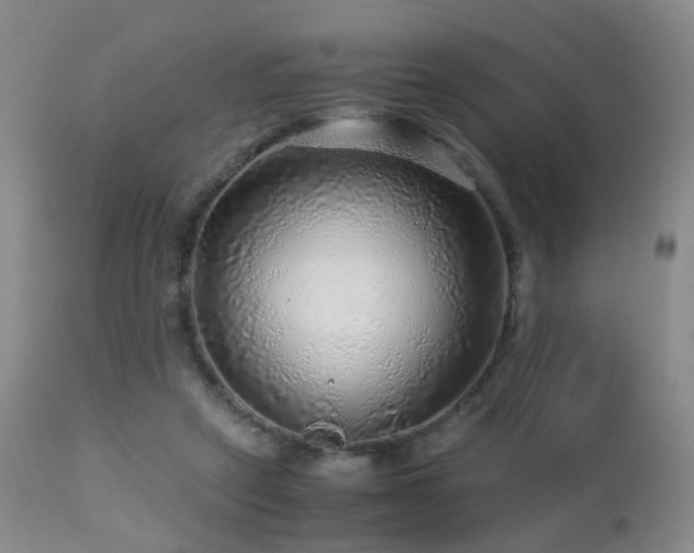 X0000112880257200908211458