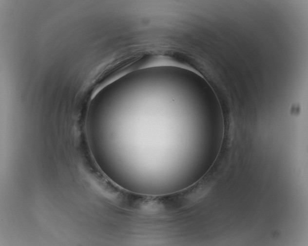 X0000112880258200908211458