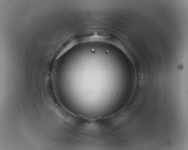 X0000112880259200908211458