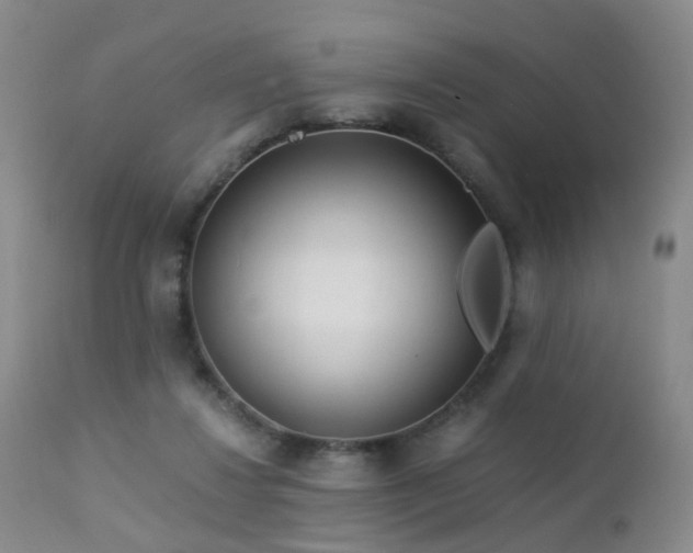 X0000112880260200908211458