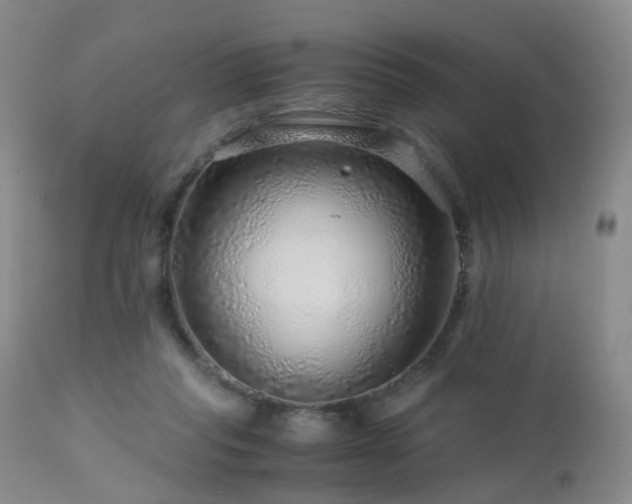 X0000112880261200908211458