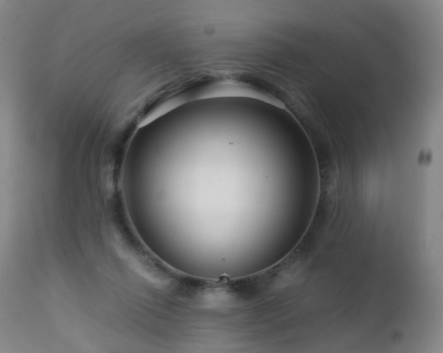 X0000112880262200908211458