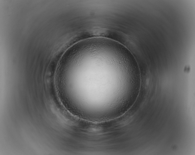 X0000112880263200908211458