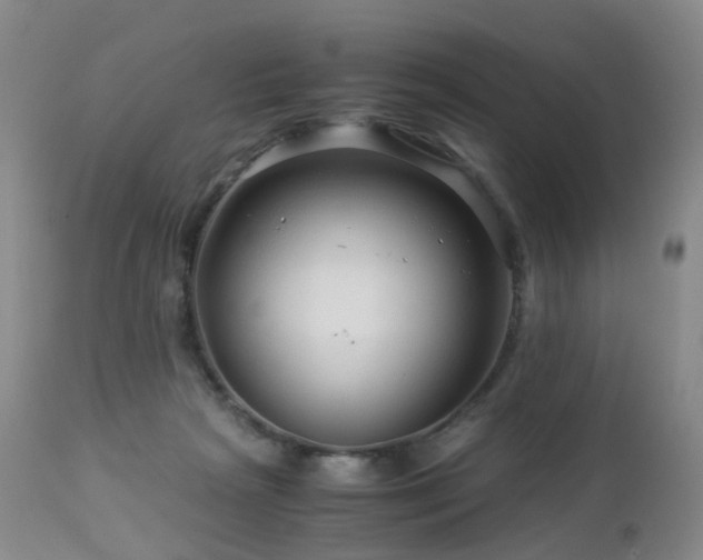 X0000112880265200908211458