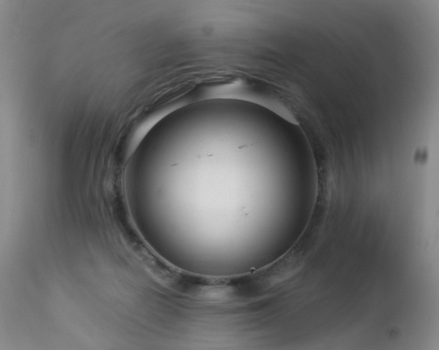 X0000112880266200908211458