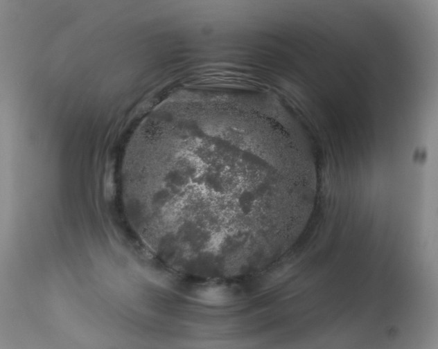 X0000112880267200908211458