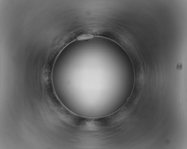 X0000112880268200908211458