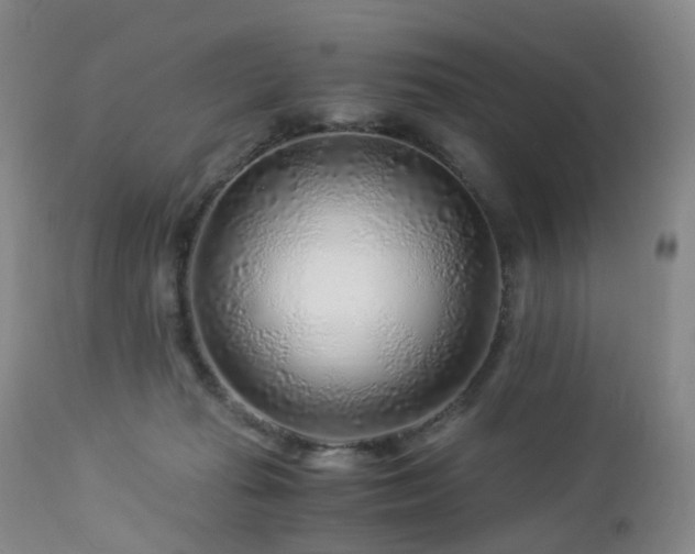 X0000112880269200908211458