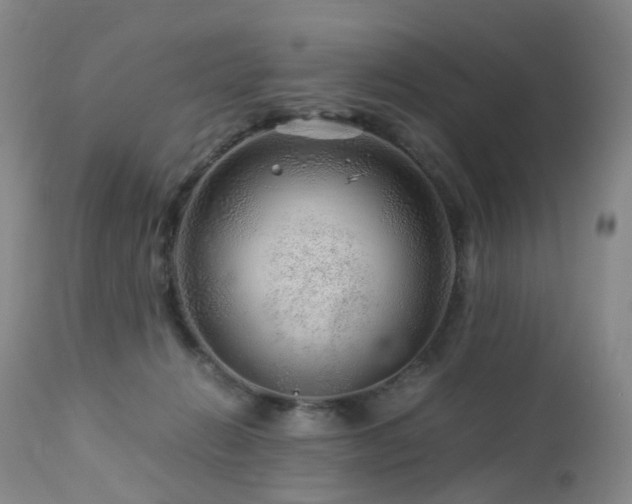 X0000112880270200908211458